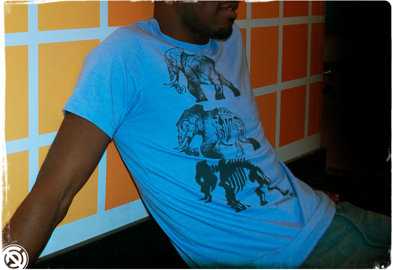 Curbside Elephant Clothing and Art